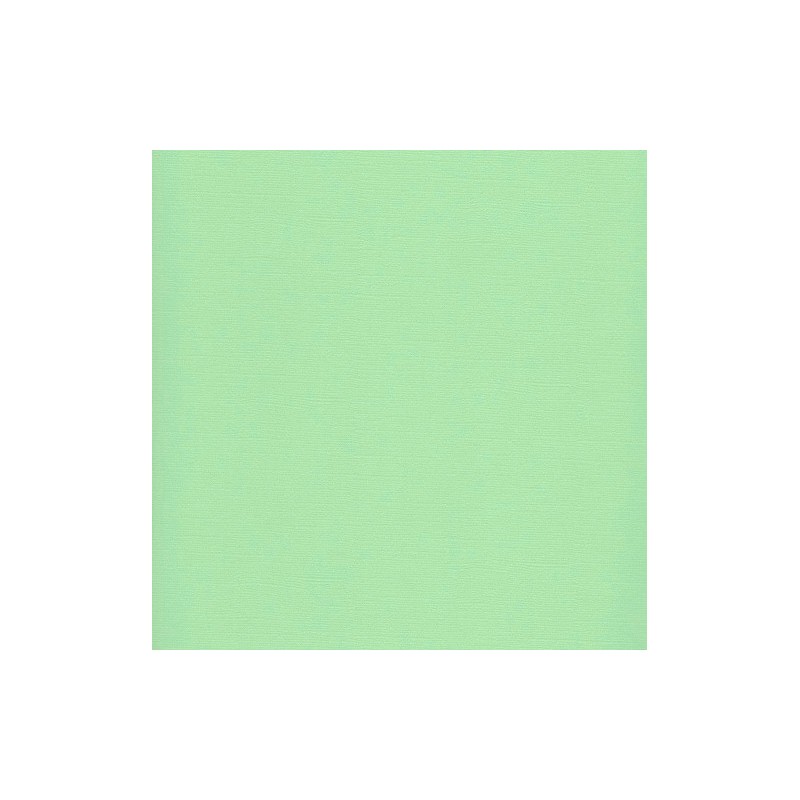 Sandable  Cardstock - Pastel Green