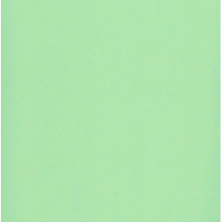 Sandable  Cardstock - Pastel Green