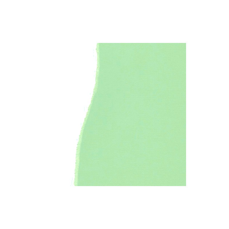 Sandable Cardstock Pastel Green