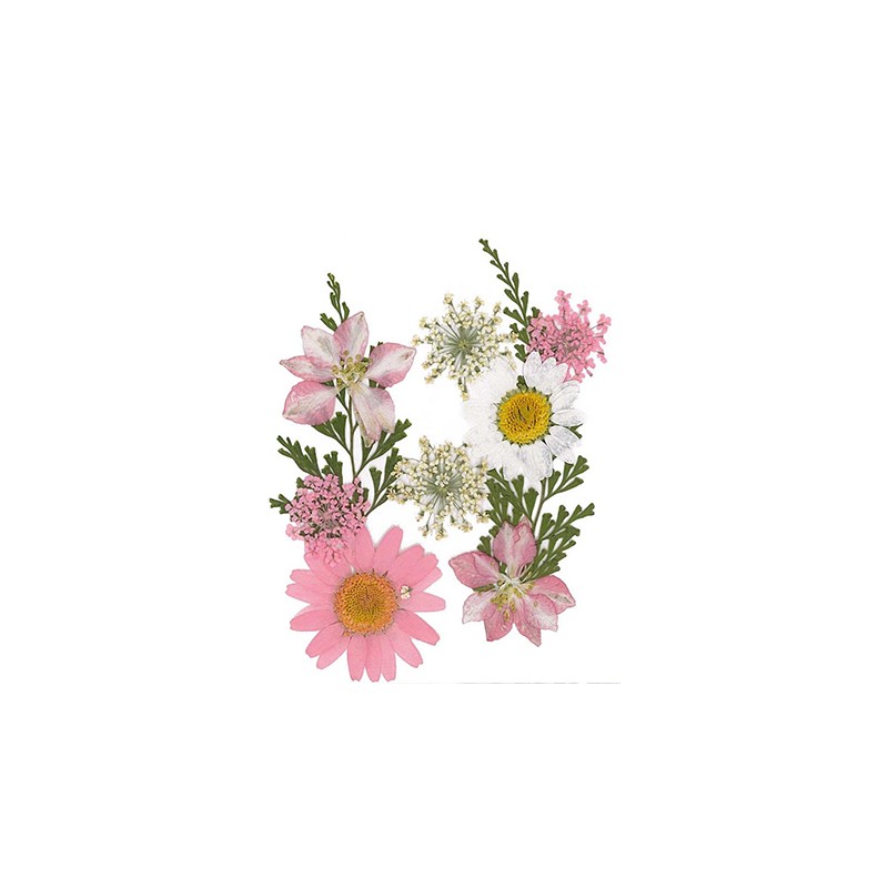 Flores secas - Rosa Claro