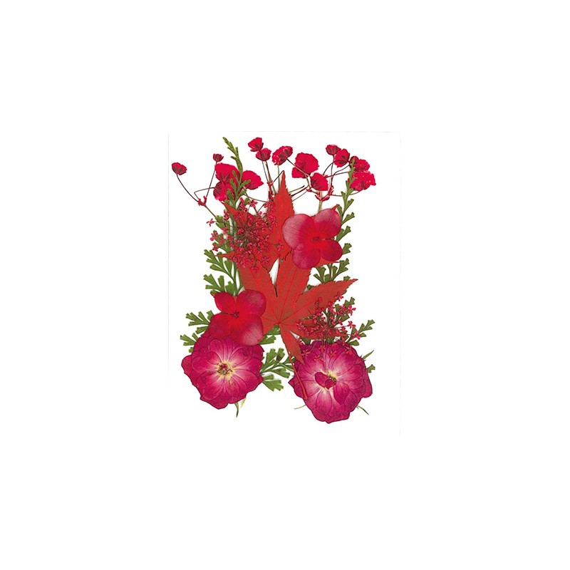 Flores secas - Rojo