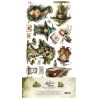Tales Of Moss & Fern  - Extras to Cut Set