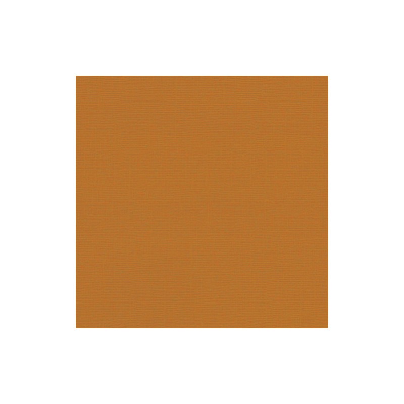 Sandable  Cardstock - Pumkin
