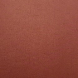 Sandable  Cardstock - Red Brick
