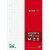 Recambio A4 Enri Plus 100 hojas