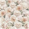 Rose Emotions  20x20 Colección Bonus
