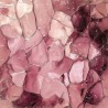 Rose Emotions  20x20 Basic Bonus