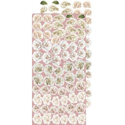 Rose Emotions Extras to Cut Flowers 1