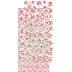 Rose Emotions Extras to Cut Flowers 2