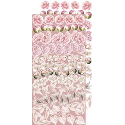 Rose Emotions Extras to Cut Flowers 3
