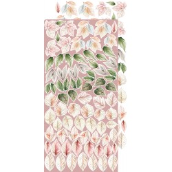 Rose Emotions Extras to Cut Flowers 7
