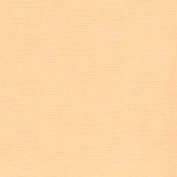 Sandable  Cardstock - Light...