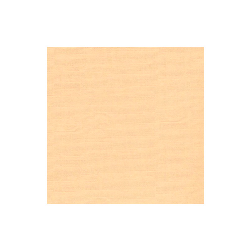 Sandable Cardstock - Light Peach