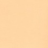 Sandable  Cardstock - Light Peach
