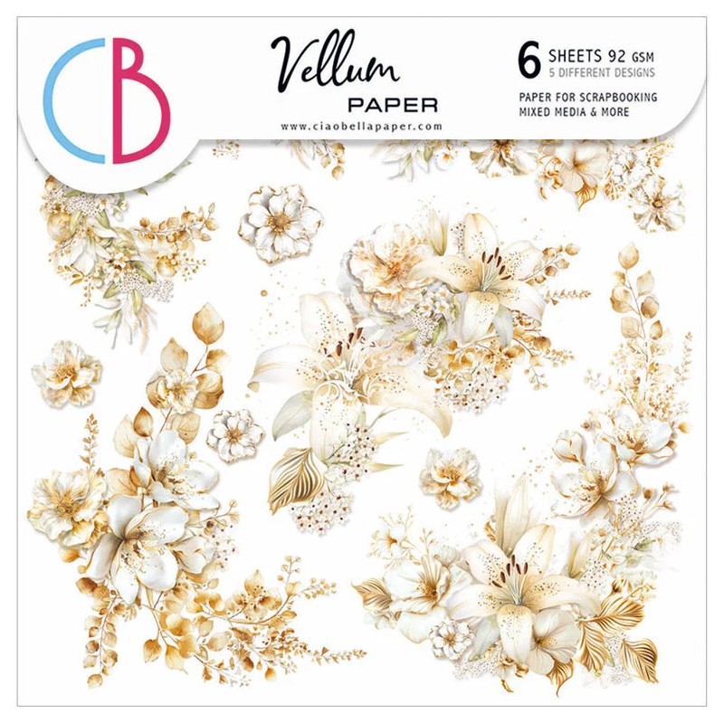 Blessing Day Velum 15x15 Set Blessing Day Velum 15x15 Set