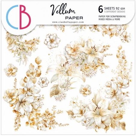 Blessing Day Velum 15x15 Set