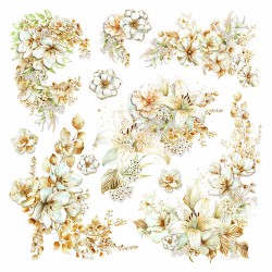 Blessing Day Velum 15x15 página 1
