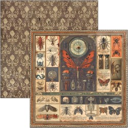 Cabinet of Curiosities 30x30 página 1