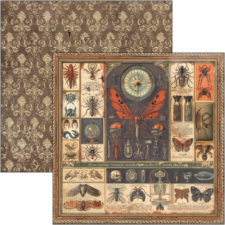 Cabinet of Curiosities 30x30 página 1