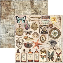 Cabinet of Curiosities 30x30 página 2