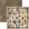 Cabinet of Curiosities 30x30 página 5