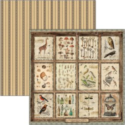 Cabinet of Curiosities Pattern 30x30 página 5