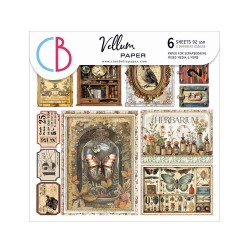 Cabinet of Curiosities Velum 15x15 Set