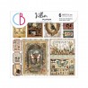 Cabinet of Curiosities Velum 15x15 Set