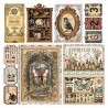 Cabinet of Curiosities Velum 15x15 Página 1