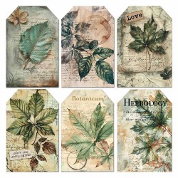 Cabinet of Curiosities Velum 15x15 Página 2