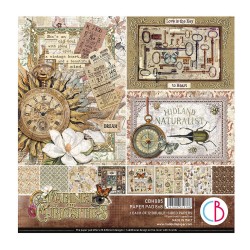 Cabinet of Curiosities...