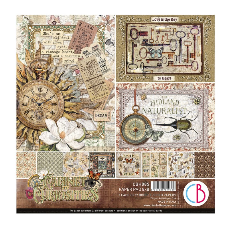 Cabinet of Curiosities 20x20 paper Pad
