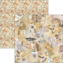 Cabinet of Curiosities 20x20 paper Pad