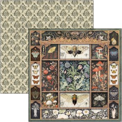 Cabinet of Curiosities 20x20 paper Pad