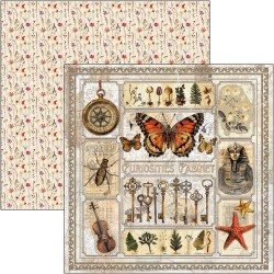 Cabinet of Curiosities 20x20 paper Pad