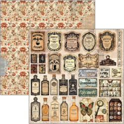 Cabinet of Curiosities 20x20 paper Pad