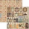 Cabinet of Curiosities 20x20 paper Pad