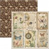 Cabinet of Curiosities 20x20 paper Pad