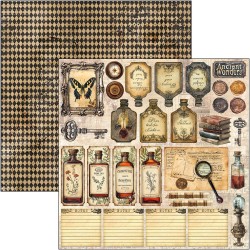 Cabinet of Curiosities 20x20 paper Pad