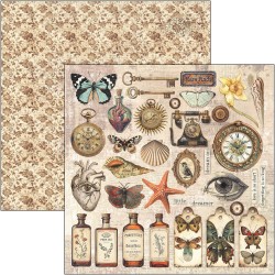 Cabinet of Curiosities 20x20 paper Pad