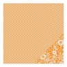Basics - Apricot Chevron