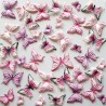 Surtido 40 Mariposas – Rosée
