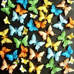 Surtido 40 Mariposas – Tropique