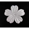 25 flores blancas - Geranium
