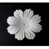 25 flores blancas - Oeuillet