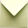 Sobre Pollen 140x140 verde yema