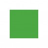 Fieltro  EcoFi - Apple Green
