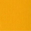 Bazzill - Beeswax