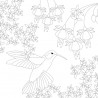 Color Therapy BIRDS