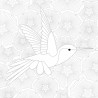 Color Therapy BIRDS